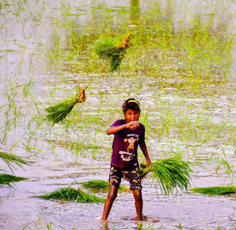 Photograph by AJAY KUMAR