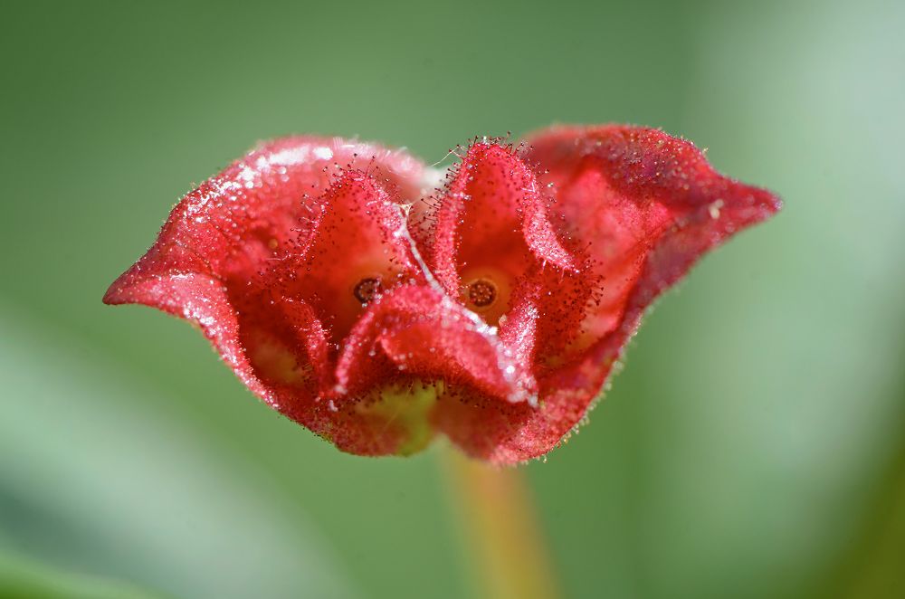 Photograph by Валерий