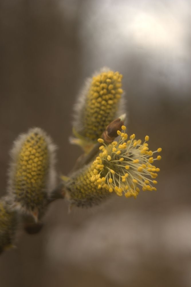 Photograph by Анна Малышева