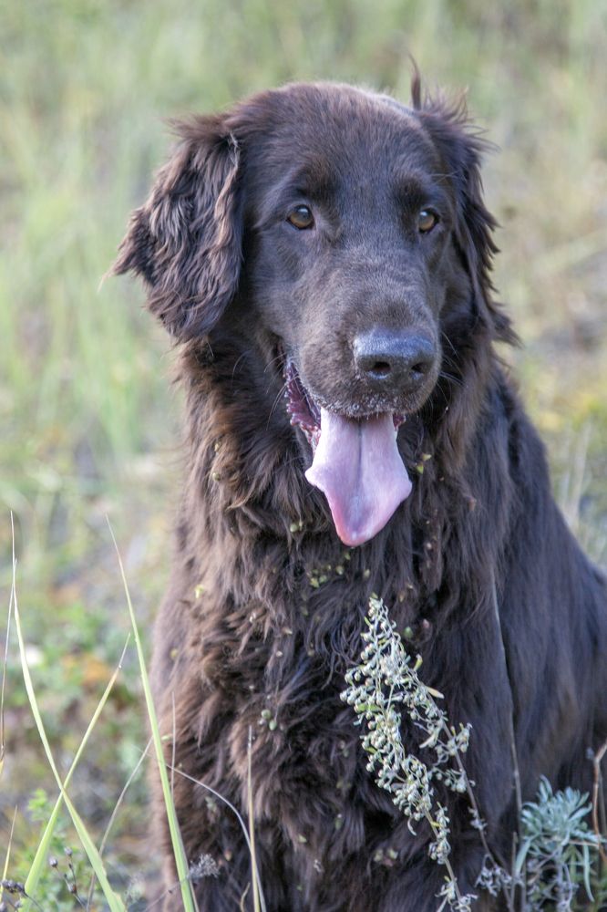 Photograph by Анастасия Северюхина