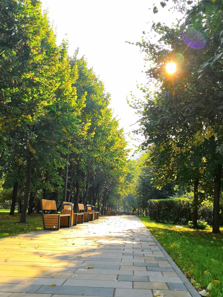 Фотография автора Сергей Можаев