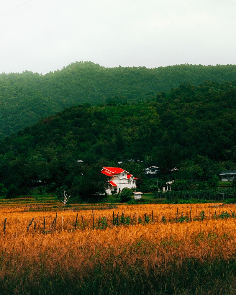 Фотография автора elyas khaghani elyas.ph
