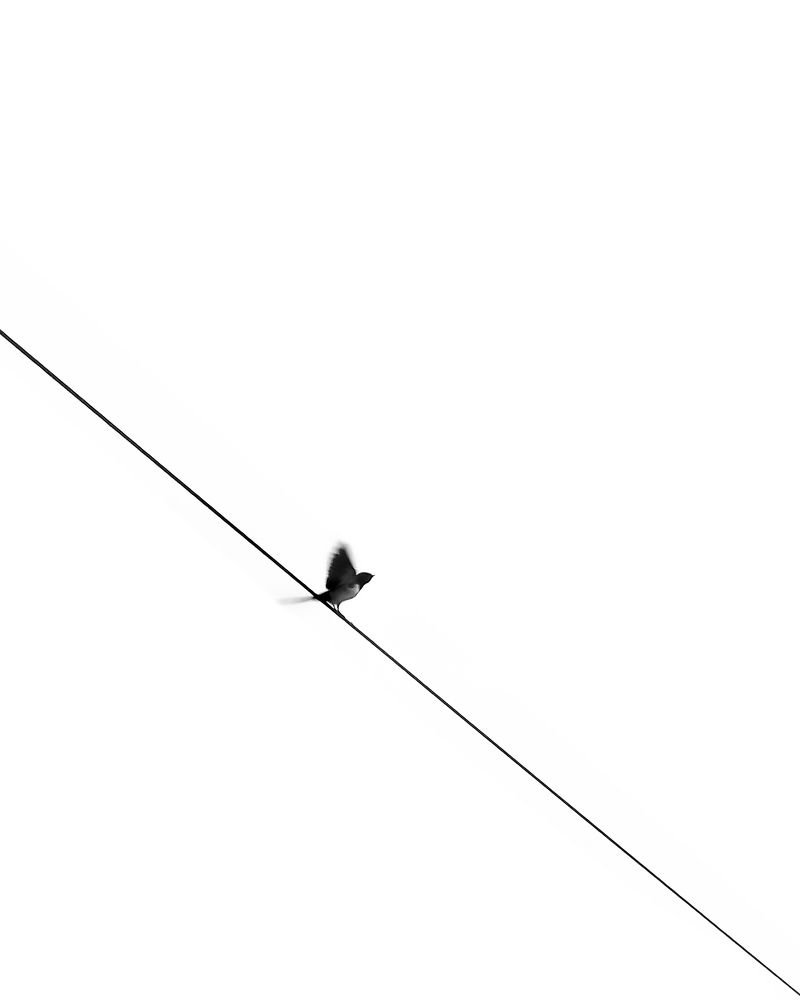 Фотография автора elyas khaghani elyas.ph