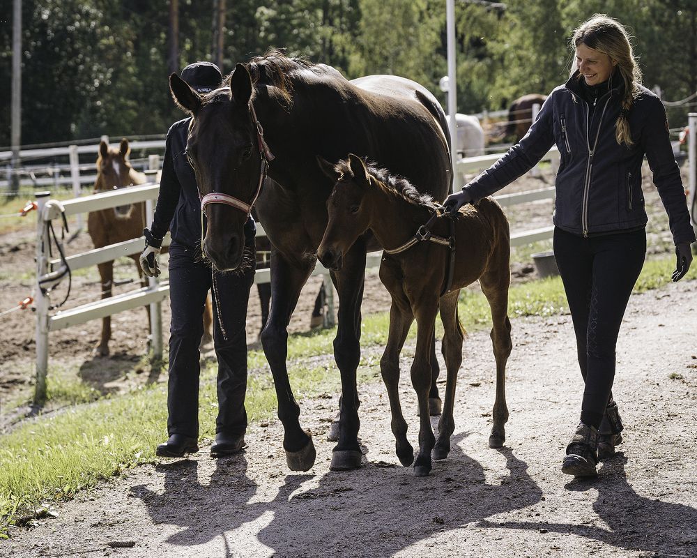 Photograph by Anna Sindikayeva