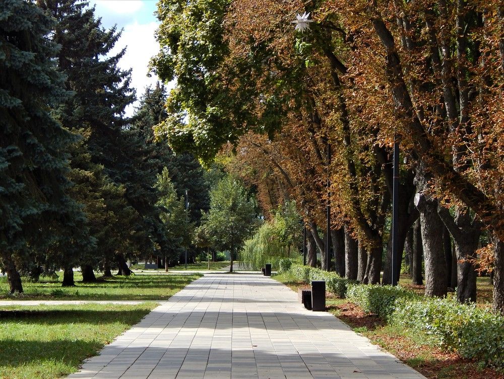 Photograph by Ирина Самойленко