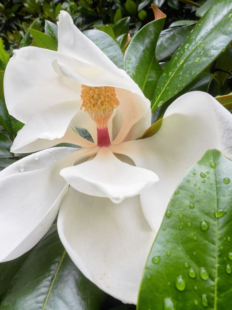 Photograph by Андрей Прищепин