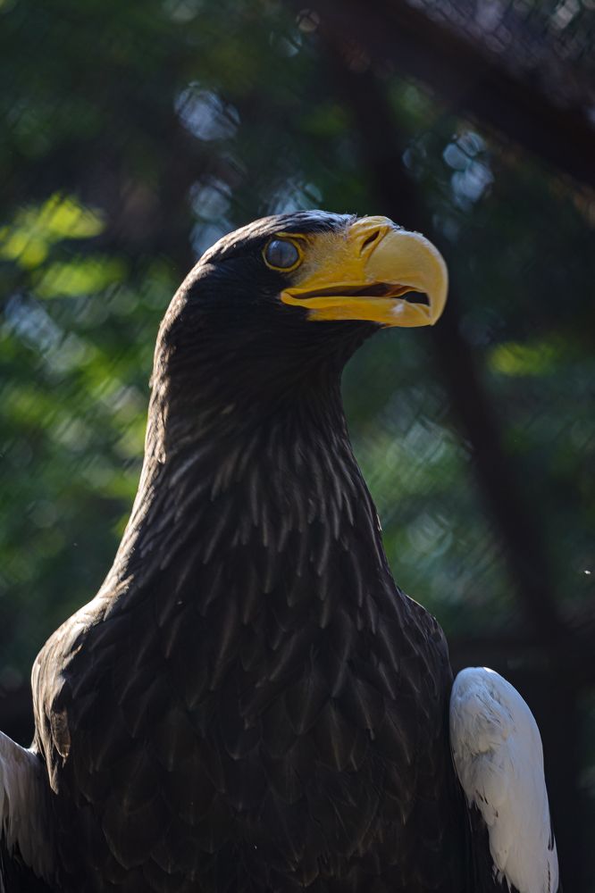Photograph by Елена Берсенёва