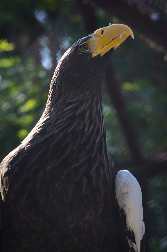 Photograph by Елена Берсенёва