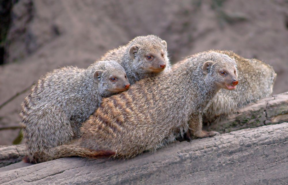 Photograph by Jacky Weckx