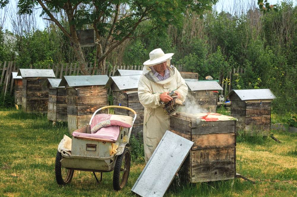 Photograph by Галина Шепелева