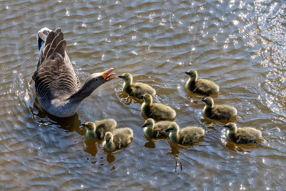 Photograph by Jacky Weckx