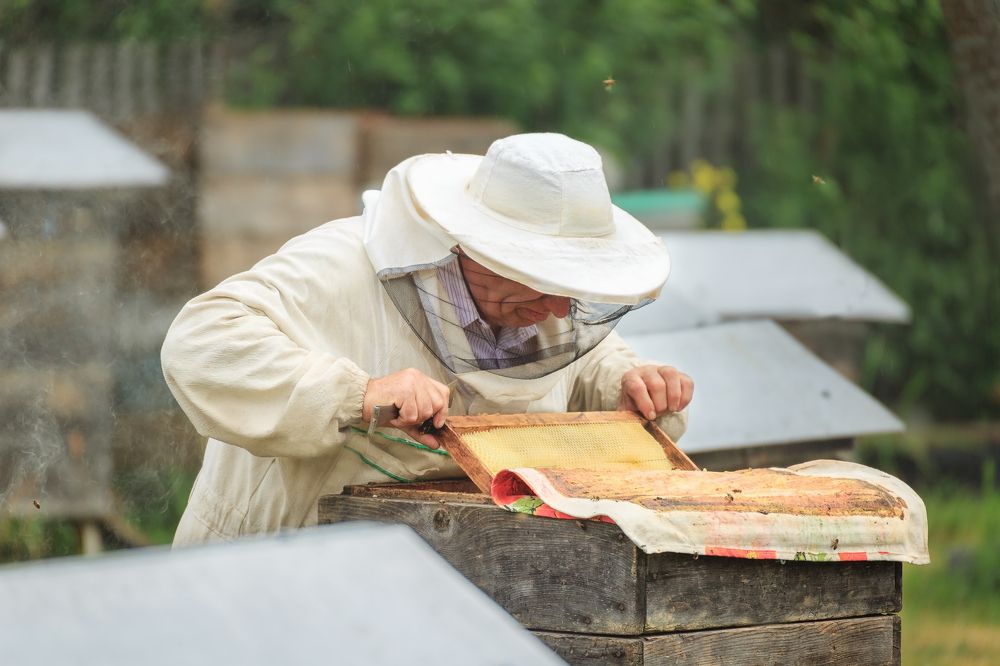 Фотография автора Галина Шепелева