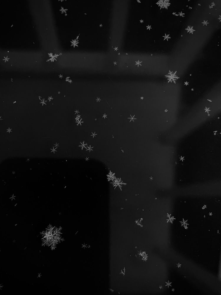 Фотография автора Ирина Мосько