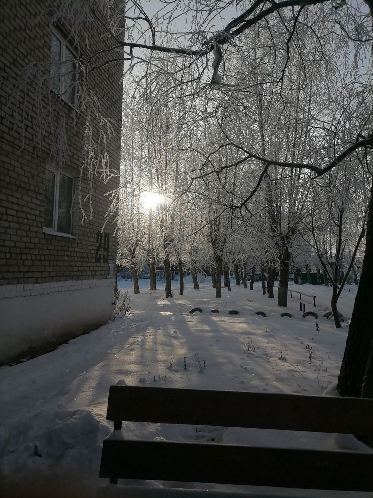 Зимнее солнце ❄️