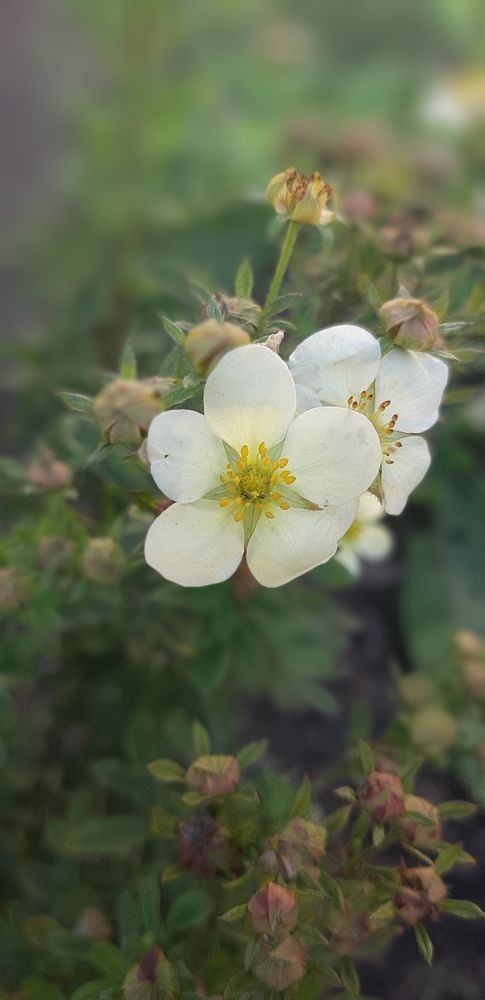 Photograph by Светлана Немонтова