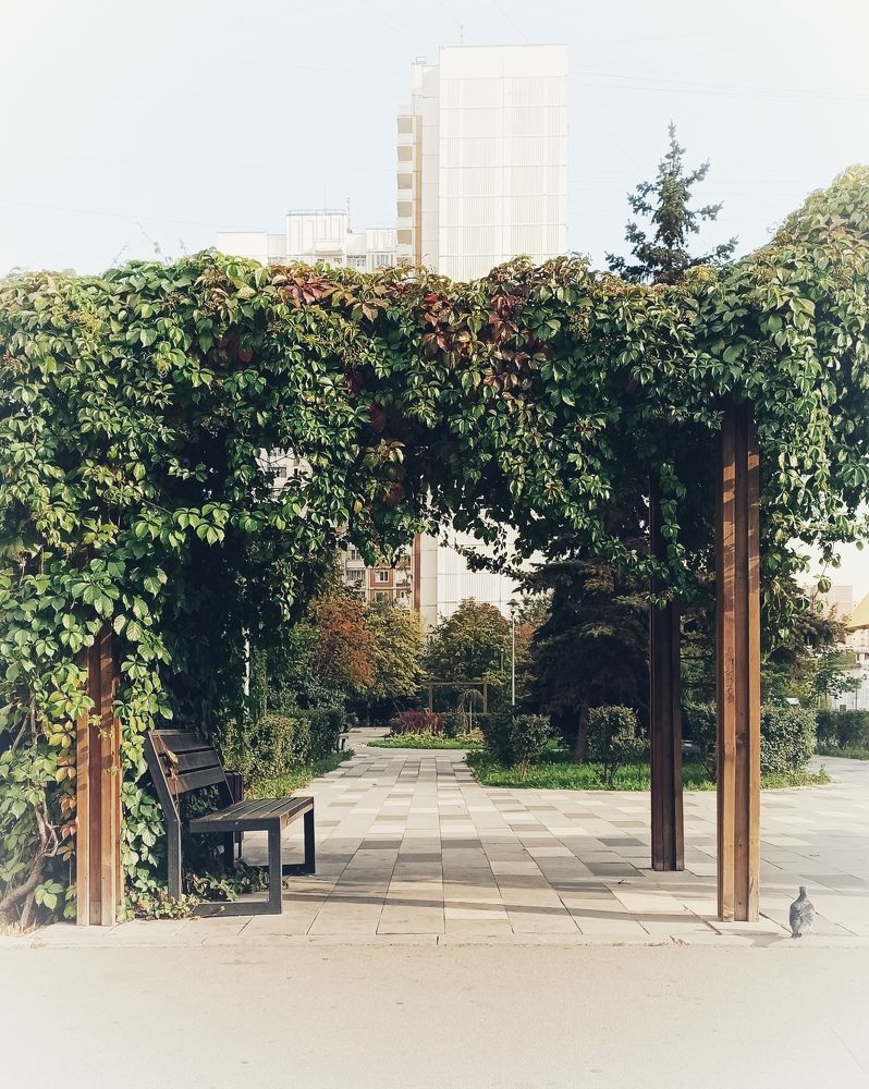 Photograph by Светлана Барабанова