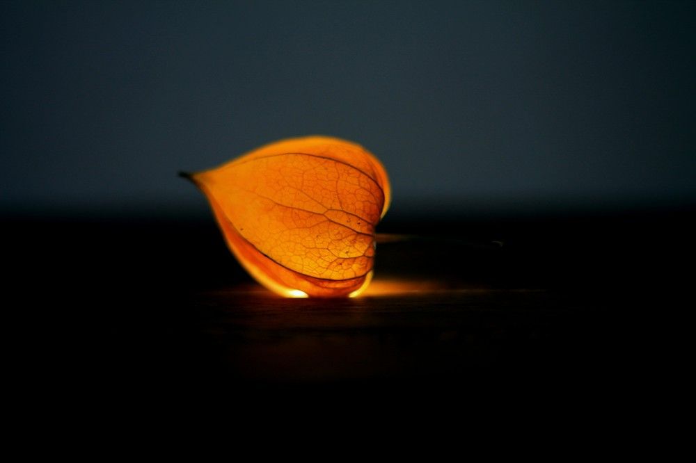 Photograph by Наталья Адалинская