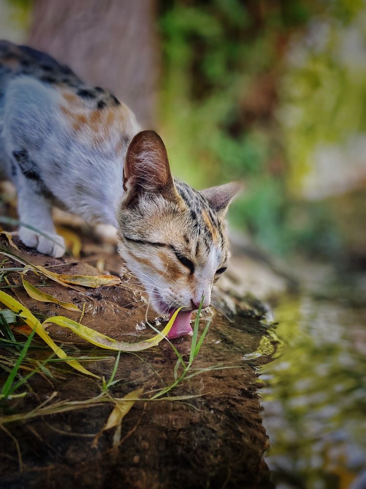 Photograph by Maedeh Sharifi