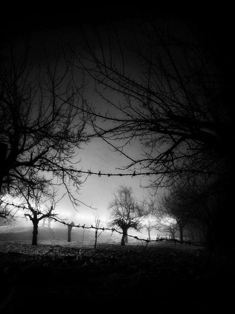 Фотография автора Zahra Seyedmorti