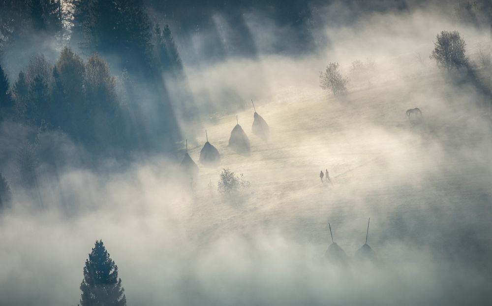 Photograph by Рудченко Ольга