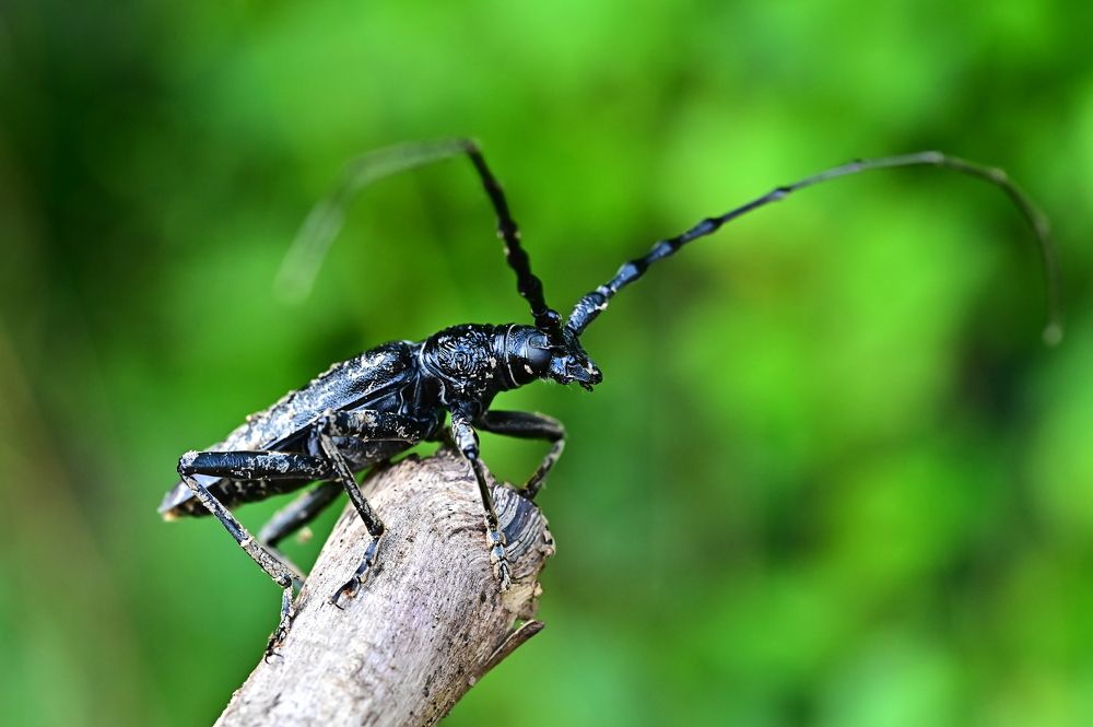 Photograph by Светлана Ивановна