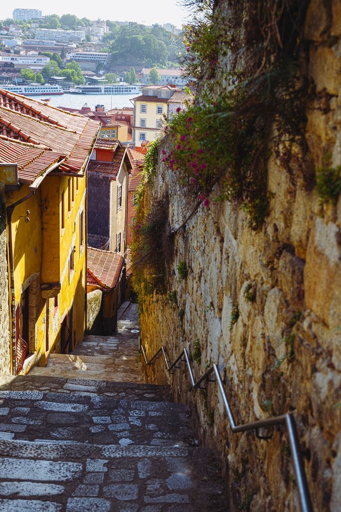 Photograph by Mihail Bacalu