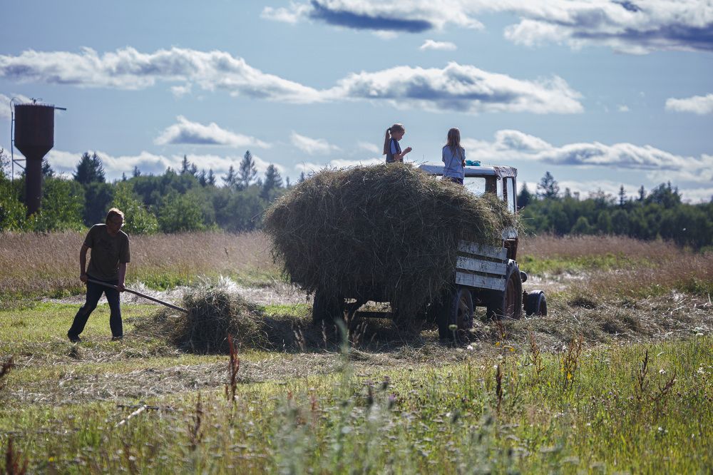 Photograph by Зеленько Дмитрий