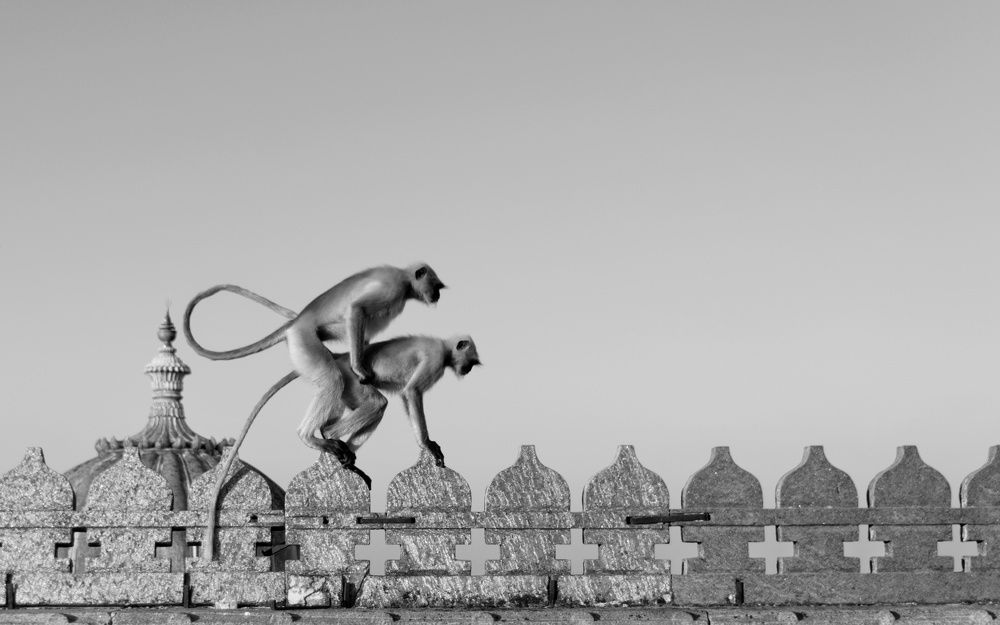 Photograph by Nikhil