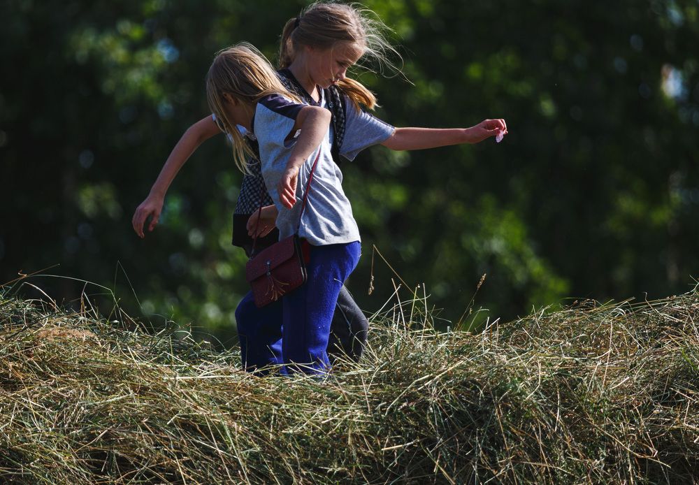 Photograph by Зеленько Дмитрий