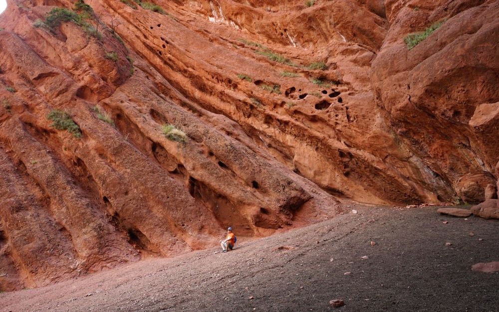 Фотография автора Татьяна Добровольская