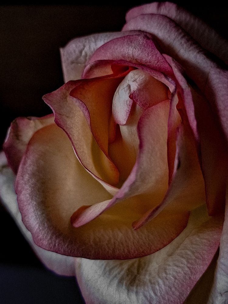 Photograph by Анна Жебуртович