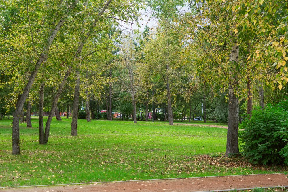 Photograph by Александр Пургин