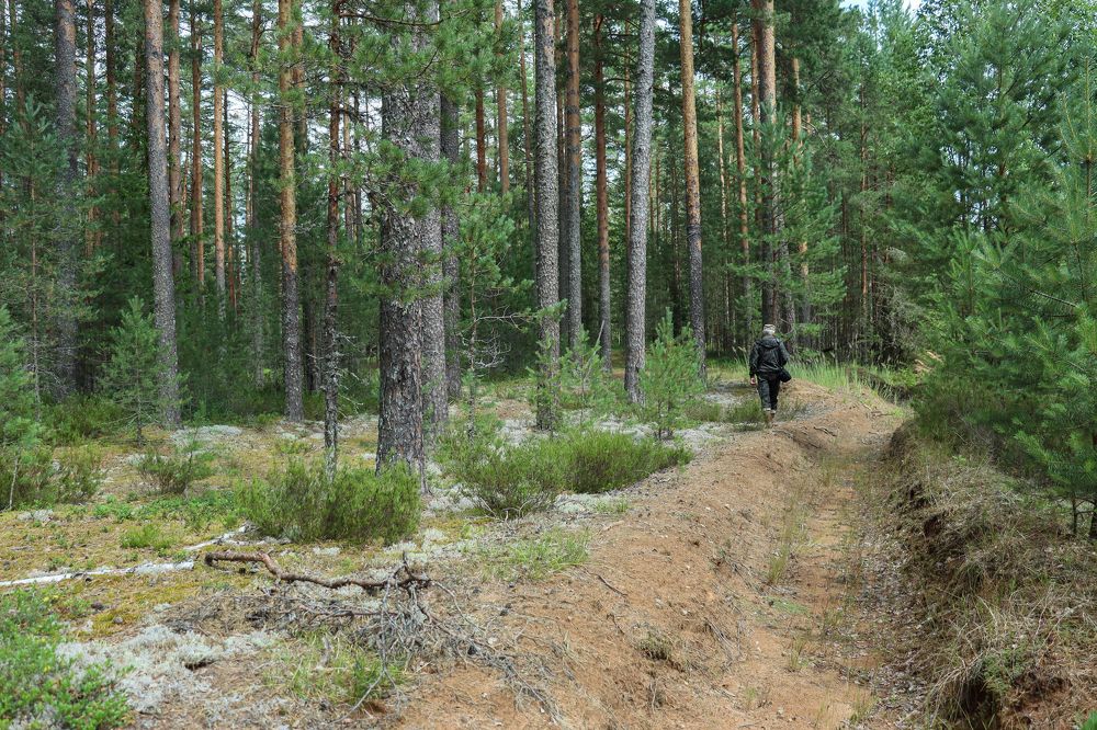 Photograph by Лидия Чугришина