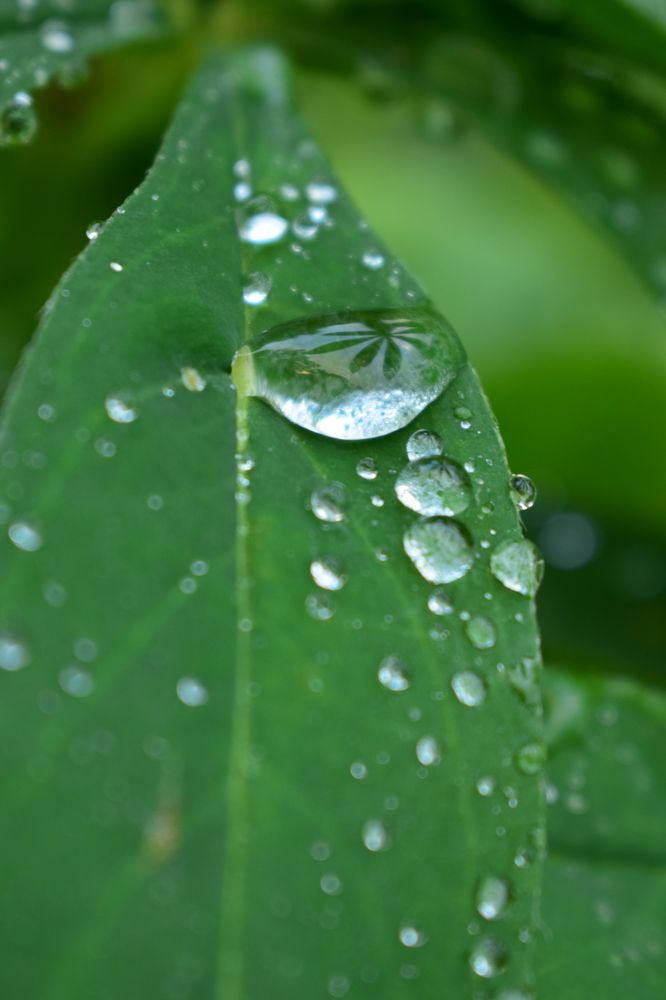 Photograph by Наталья Еременко