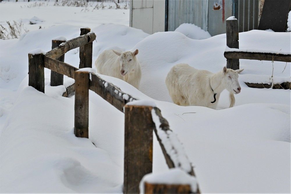 Фотография автора IRINA FILIPPOVA