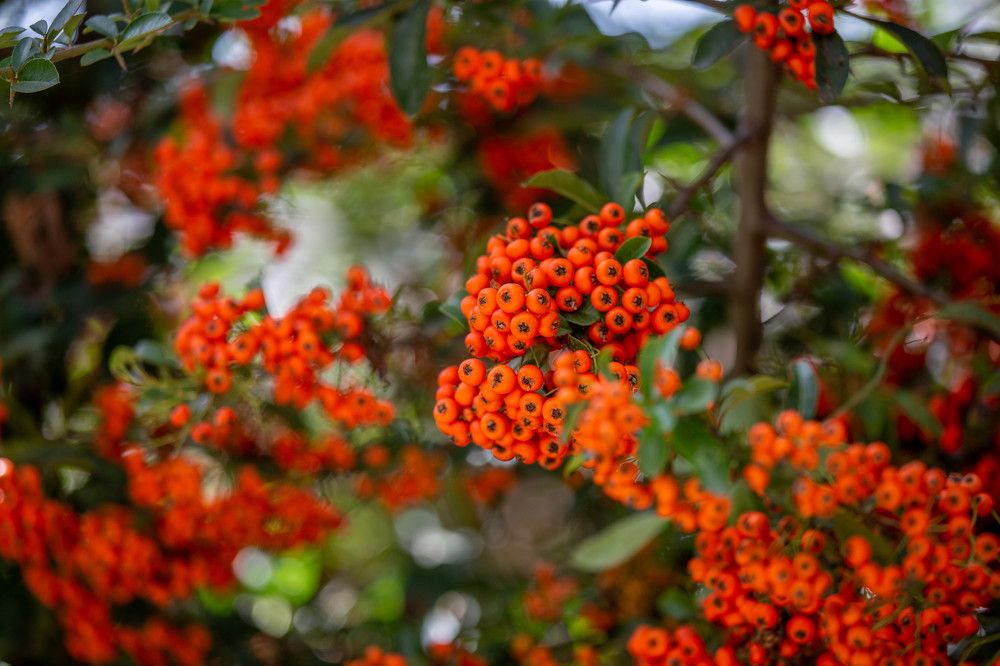 Photograph by Евгения Бочарова