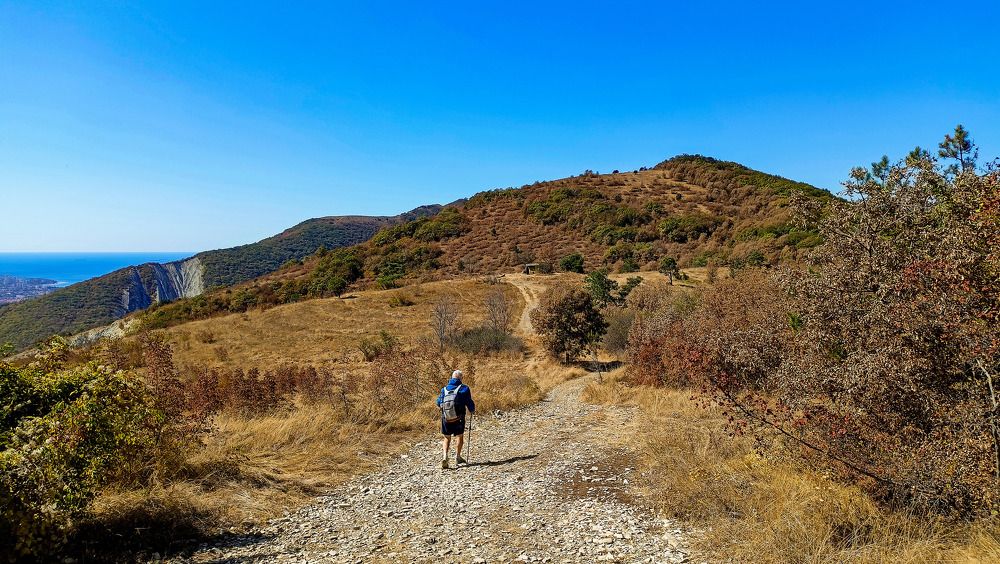 Photograph by Олег Башкуров