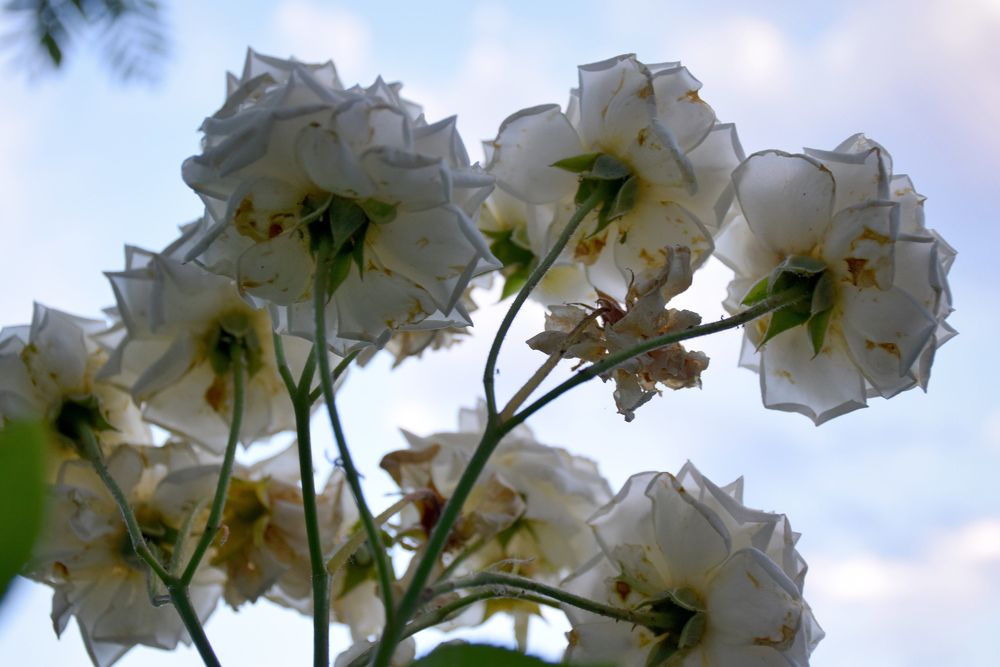 Photograph by  Татьяна Дорожко