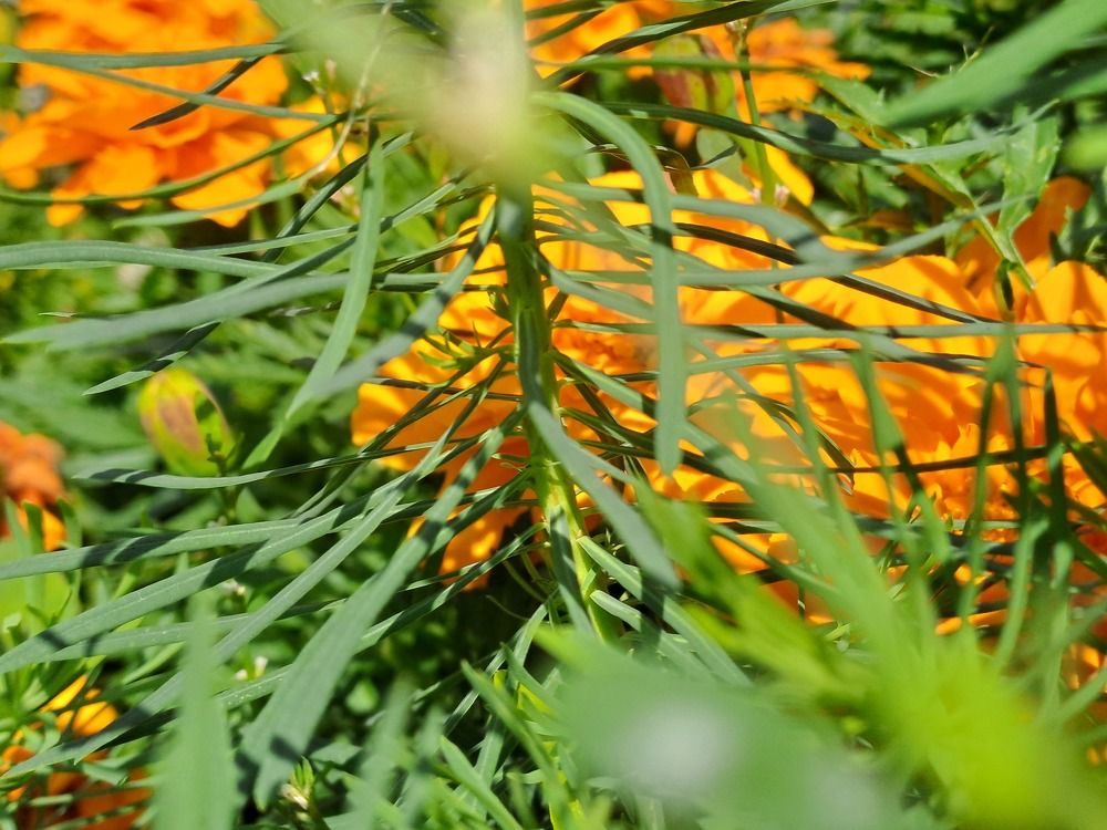 Photograph by Ирина Владимировна