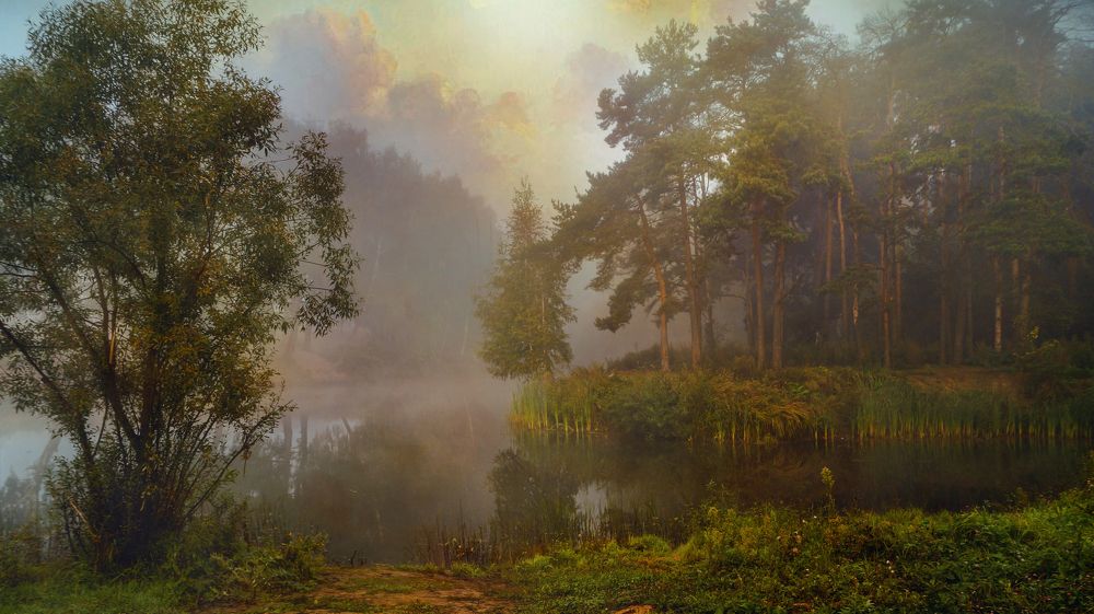 Photograph by Сушкевич Светлана