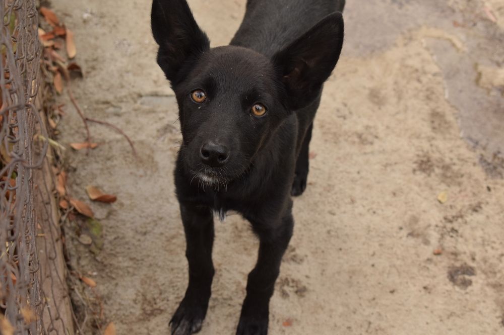 Photograph by  Татьяна Дорожко