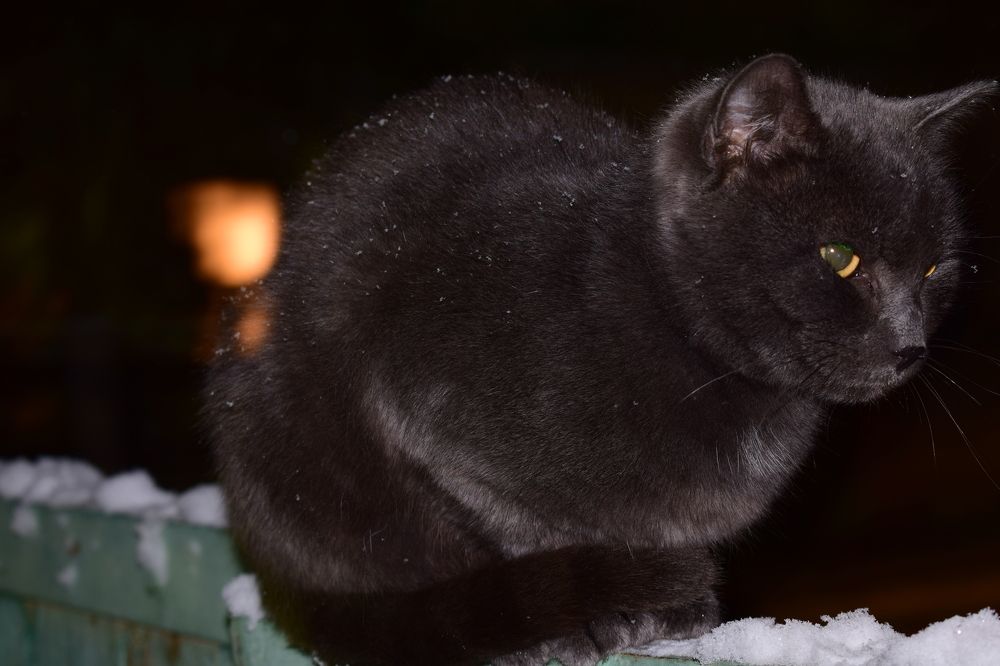 Photograph by  Татьяна Дорожко