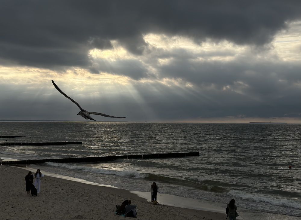 Photograph by Наталья Сережко