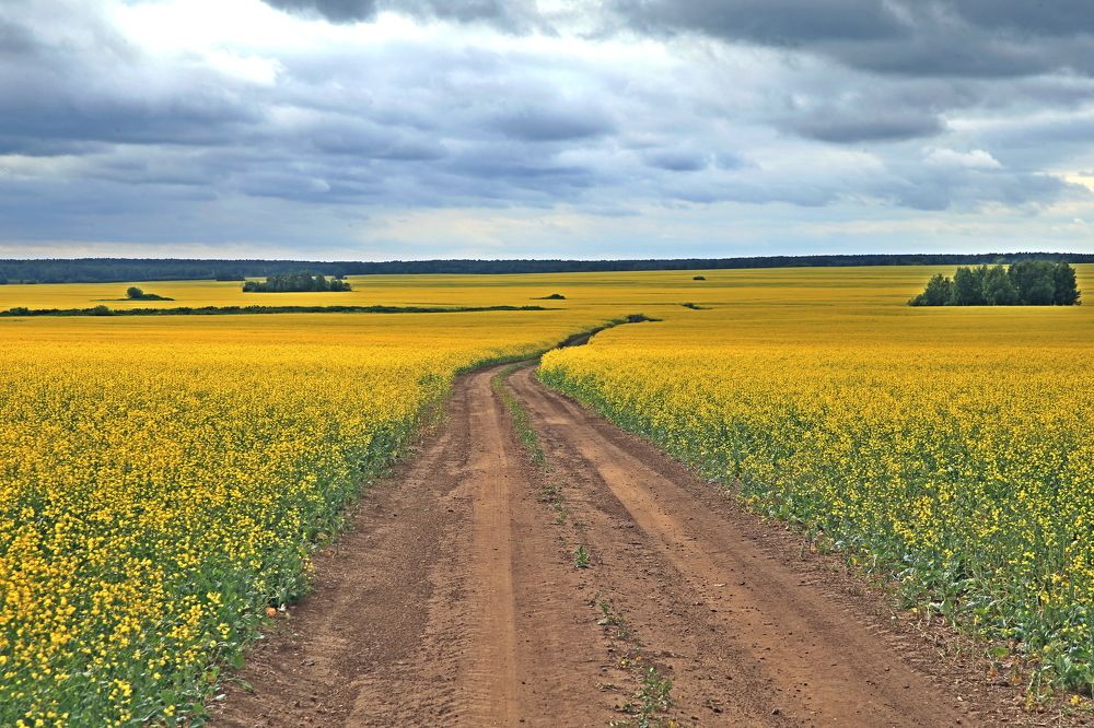 Фотография автора Юрий Кетель