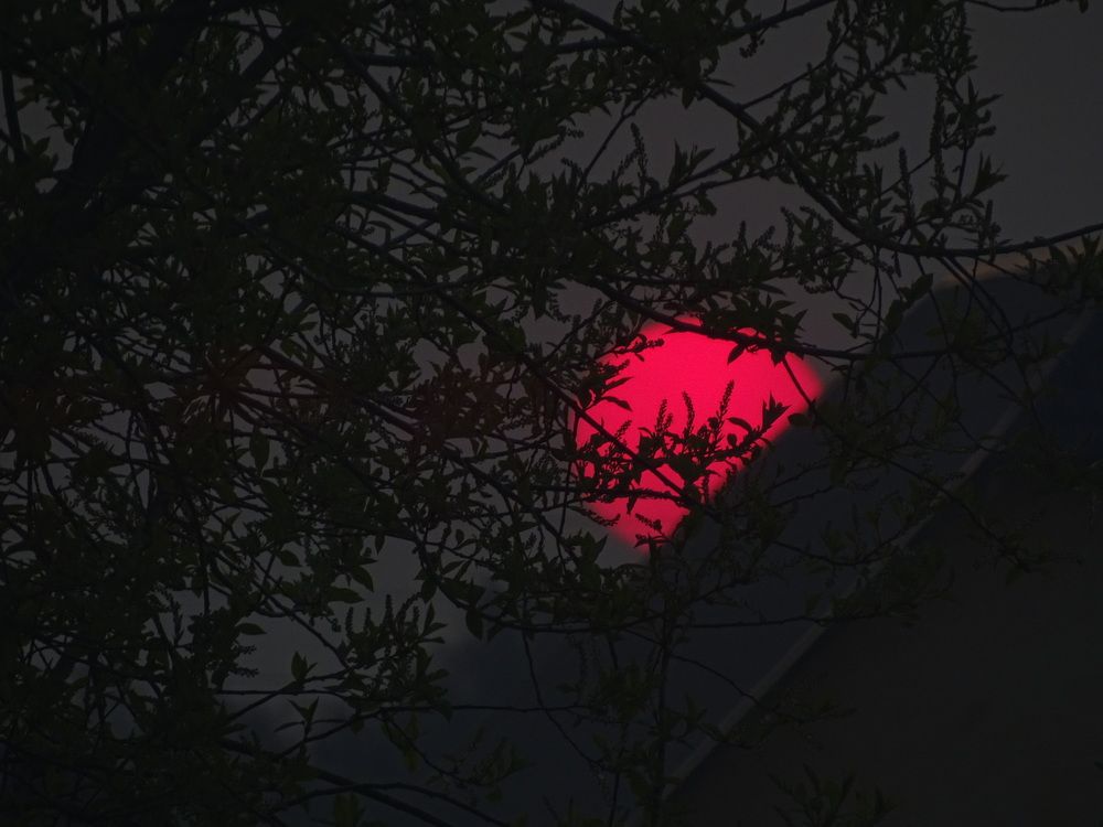 Photograph by Ирина Владимировна