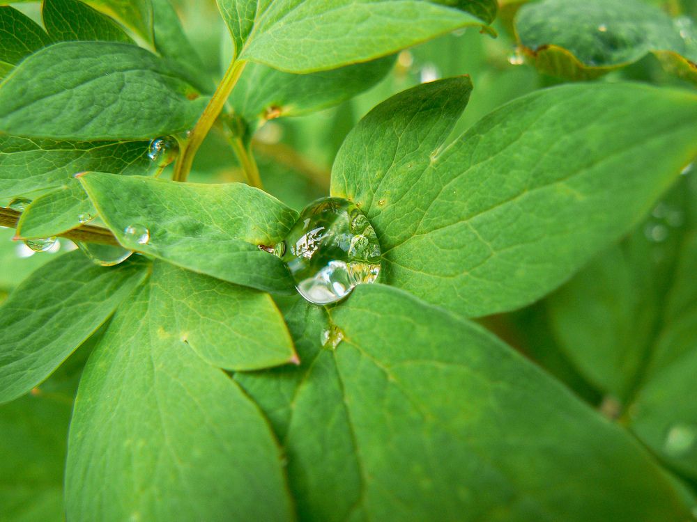 Photograph by Алексей Борисов