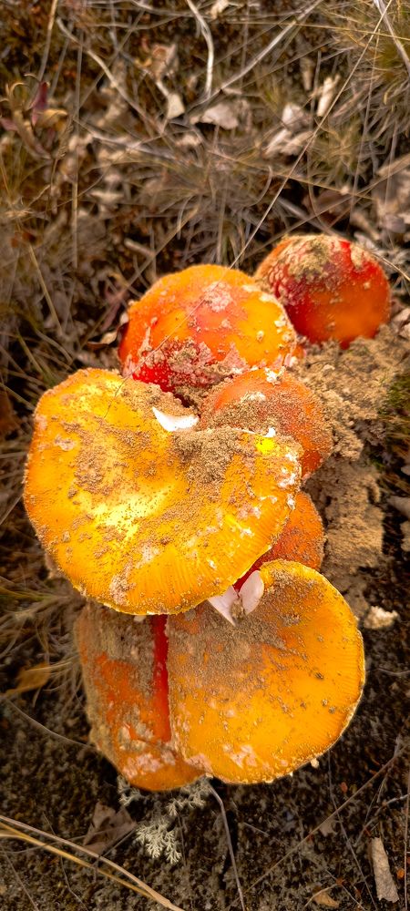 Фотография автора Мария Черница