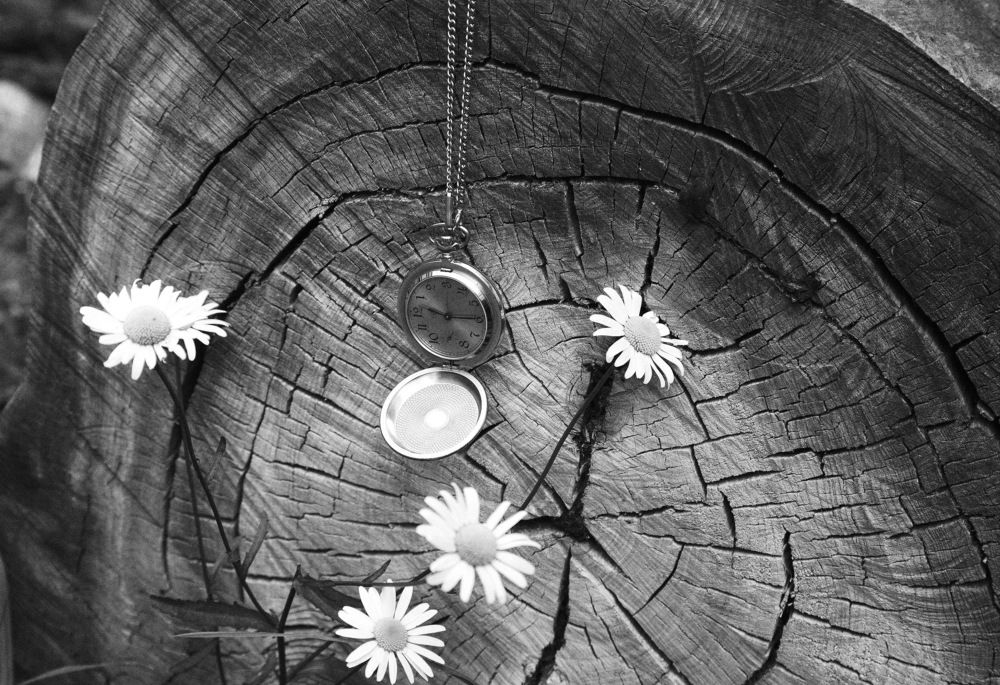 Время...Жизни...!