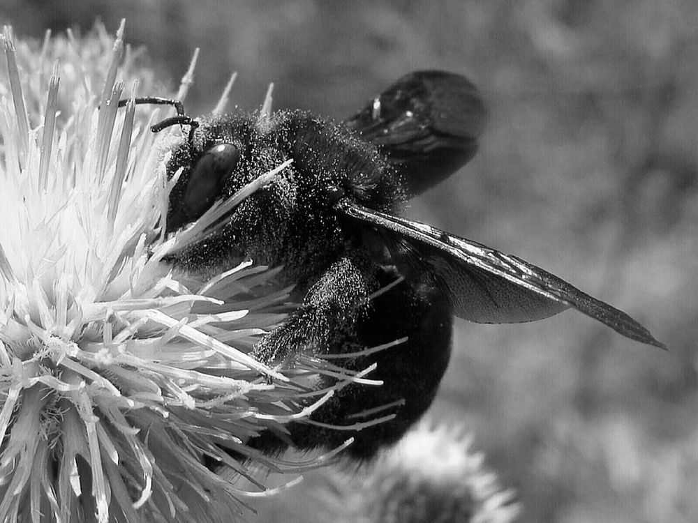 Фотография автора Павел Попов