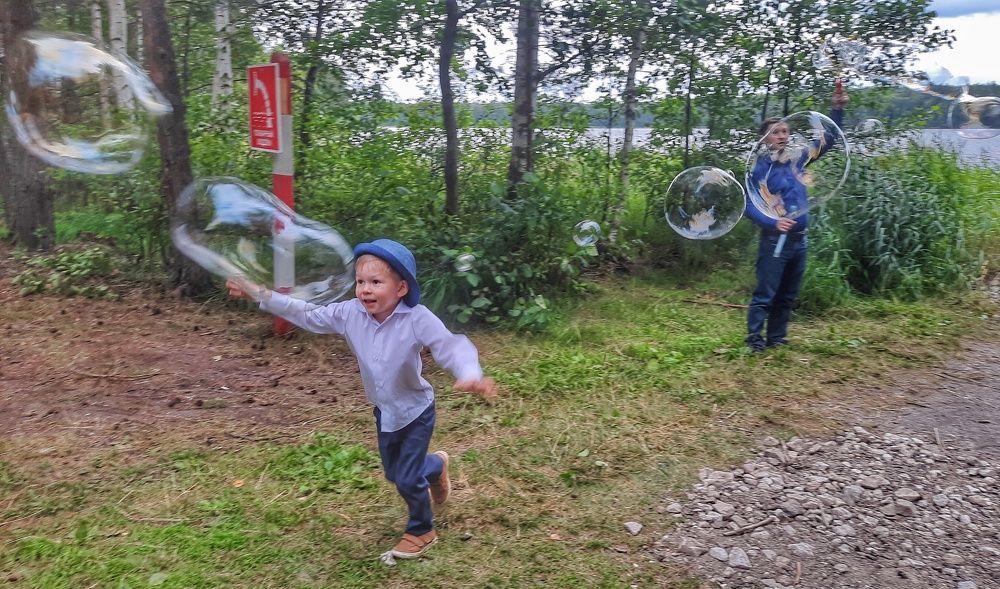 В погоне за мечтой